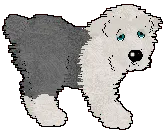 Boyce - pair 4 Boyce