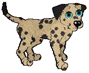 Bradford - pair 14 Bradford