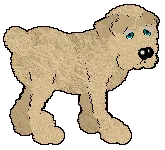 Brooklyn - pair 2 Brooklyn