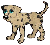 Christopher - pair 6 Christopher