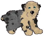 Cortez - pair 1 Cortez