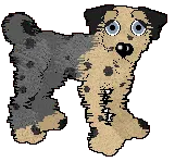 Donovan - pair 4 Donovan