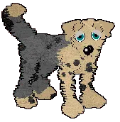 Elliot - pair 2 Elliot