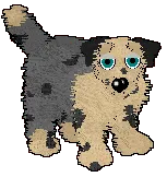 Erwin - pair 1 Erwin