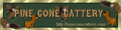 Pine Cone Cattery